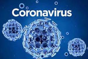 ਕੋਰੋਨਾ ਵਾਇਰਸ (Corona virus)