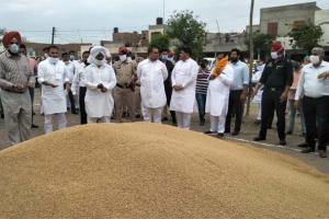 ਜਲਾਲਾਬਾਦ ਚ ਕਣਕ ਦੀ ਖ਼ਰੀਦ ਸ਼ੁਰੂ