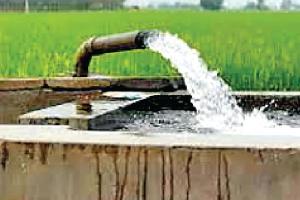 ਵਰਦਾਨ ਬਣ ਸਕਦੀ ਹੈ ਮਜ਼ਬੂਰੀ ‘ਚ ਕੀਤੀ ਜਾ ਰਹੀ ਝੋਨੇ ਦੀ ਸਿੱਧੀ ਬਿਜਾਈ!