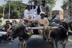 ਖੇਤਰੀ ਕਾਨੂੰਨਾਂ ਖਿਲਾਫ਼ ਸੜਕਾਂ ’ਤੇ ਆਏ ਕਾਂਗਰਸੀ