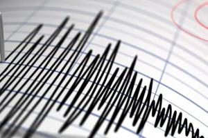 ਨਿਊਜ਼ੀਲੈਂਡ ’ਚ ਤੇਜ਼ ਭੂਚਾਲ ਤੋਂ ਬਾਅਦ ਸੁਨਾਮੀ ਦੀ ਚਿਤਾਵਨੀ