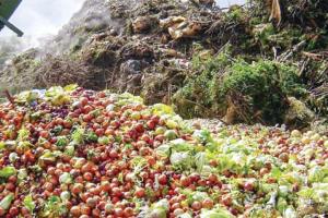 ਭੋਜਨ ਦੀ ਬਰਬਾਦੀ ਰੋਕਣ ਦੀ ਵੰਗਾਰ