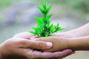 ਲਾਜ਼ਮੀ ਹੈ ਵਾਤਾਵਰਨ ਪ੍ਰਣਾਲੀ ਦੀ ਬਹਾਲੀ