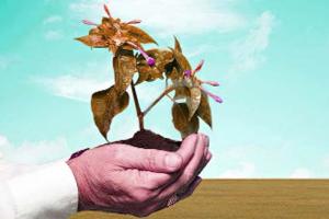 ਪਾਣੀ ਬਚਾਓ, ਰੁੱਖ ਲਾਓ, ਇਸ ਧਰਤੀ ਨੂੰ ਸਵਰਗ ਬਣਾਓ