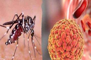 ਕਾਨਪੁਰ ‘ਚ ਜੀਕਾ ਵਾਇਰਸ ਦਾ ਪ੍ਰਕੋਪ, ਕੁੱਲ ਕੇਸ ਵੱਧਕੇ 105