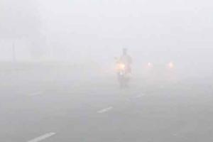 ਪੰਜਾਬ, ਹਰਿਆਣਾ ਅਤੇ ਦਿੱਲੀ ਵਿੱਚ ਸ਼ੀਤ ਲਹਿਰ