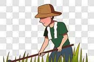 ਗ੍ਰਾਹਕ ਦੀ ਤਸੱਲੀ