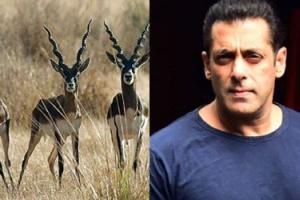 ਕਾਲਾ ਹਿਰਨ ਸ਼ਿਕਾਰ ਮਾਮਲੇ ‘ਚ ਸਲਮਾਨ ਖਾਨ ਨੂੰ ਵੱਡੀ ਰਾਹਤ, ਤਬਾਦਲਾ ਪਟੀਸ਼ਨ ਮਨਜ਼ੂਰ