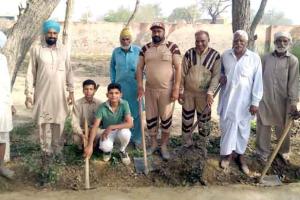 ਸੇਵਾਦਾਰਾਂ ਵੱਲੋਂ ਲਗਾਏ ਪੌਦੇ, ਰੁੱਖਾਂ ਦੇ ਰੂਪ ਵਿੱਚ ਦੇ ਰਹੇ ਫਲ ਅਤੇ ਛਾਂ