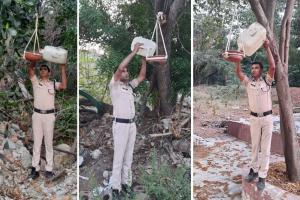 ਤਾਮਿਲਨਾਡੂ ਰਾਜ ਦੇ ਬਲਾਕ ਚੇਨਈ ‘ਚ ਕਹਿਰ ਦੀ ਗਰਮੀ ਦੇ ਮੱਦੇਨਜ਼ਰ ਡੇਰਾ ਸ਼ਰਧਾਲੂ ਨੇ ਬੰਨ੍ਹੇ ਪਾਣੀ ਦੇ ਕਟੋਰੇ