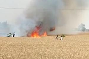 ਬਿਜਲੀ ਦੇ ਸ਼ਾਰਟ ਸਰਕਟ ਨਾਲ ਢਾਈ ਏਕੜ ਕਣਕ ਦੀ ਫਸਲ ਨੂੰ ਲੱਗੀ ਅੱਗ