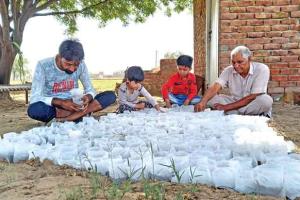 ਅਸਮਾਨ ਤੋਂ ਪੈ ਰਹੀ ਅੱਗ ਤੋਂ ਫਸਲ ਨੂੰ ਬਚਾਉਣ ਵਿੱਚ ਲੱਗੇ ਕਿਸਾਨ, ਅਪਣਾ ਰਹੇ ਦੇਸੀ ਢੰਗ