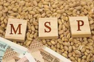 MSP, ਹੋਰ ਮੁੱਦਿਆਂ ‘ਤੇ ਸੁਝਾਵਾਂ ਲਈ ਵਿਆਪਕ ਕਮੇਟੀ ਦਾ ਗਠਨ