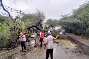 ਡੇਰਾ ਸੱਚਾ ਸੌਦਾ ਦੇ ਸ਼ਰਧਾਲੂਆਂ ਨੇ ਮੀਂਹ ਕਾਰਨ ਸੜਕ ’ਤੇ ਡਿੱਗੇ ਦਰੱਖਤਾਂ ਨੂੰ ਹਟਾਇਆ