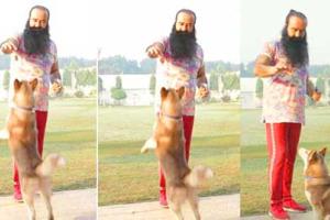 Instagram ’ਤੇ Saint Dr. MSG ਦੀ ਆਈ ਨਵੀਂ ਵੀਡੀਓ, ਵੱਖ ਹੀ ਅੰਦਾਜ਼ ’ਚ ਦਿਖੇ ਸੋਹਣੇ ਸਤਿਗੁਰੂ 