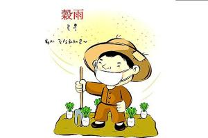 ਬਾਲ ਕਹਾਣੀ:ਮੂਲੀ ਦੇ ਬੀਜ