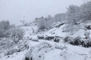 ਅਮਰੀਕਾ ’ਚ ਬਰਫੀਲੇ ਤੂਫ਼ਾਨ ਨਾਲ ਮੱਚੀ ਤਬਾਹੀ, 23 ਲੋਕਾਂ ਦੀ ਦਰਦਨਾਕ ਮੌਤ