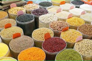 ਮੋਟੇ ਅਨਾਜ : ਅੰਤਰਰਾਸ਼ਟਰੀ ਪੌਸ਼ਟਿਕ ਅਨਾਜ ਸਾਲ-2023 ਦੀ ਪੰਜਾਬ ’ਚ ਸ਼ੁਰੂਆਤ