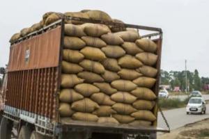 ਅੰਮ੍ਰਿਤਸਰ ‘ਚ ਸਰਕਾਰੀ ਕਣਕ ਦਾ ਭਰਿਆ ਟਰੱਕ ਕਾਬੂ 