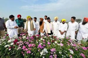 ਪੰਜਾਬ ਨੂੰ ਬਾਗਬਾਨੀ ਵਿੱਚ ਮੋਹਰੀ ਸੂਬਾ ਬਣਾਉਣ ਲਈ ਚੇਤਨ ਸਿੰਘ ਜੌੜਾਮਾਜਰਾ ਵੱਲੋਂ ਸੂਬੇ ਭਰ ਦੇ ਦੌਰੇ ਸ਼ੁਰੂ