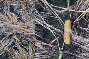 ਫਿਰੋਜ਼ਪੁਰ ਬਾਰਡਰ ਕੋਲ BSF ਦੀ ਵੱਡੀ ਕਾਰਵਾਈ