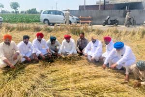 ਨੁਕਸਾਨੀ ਫ਼ਸਲ ਦਾ ਪੰਜਾਬ ਸਰਕਾਰ ਕਿਸਾਨਾਂ ਨੂੰ 40,000 ਰੁਪਏ ਪ੍ਰਤੀ ਏਕੜ ਮੁਆਵਜ਼ਾ ਦੇਵੇ : ਨਾਗਰਾ