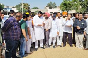 ਜਲਾਲਾਬਾਦ ਵਿੱਚ ਕਣਕ ਦੀ ਖਰੀਦ ਸ਼ੁਰੂ