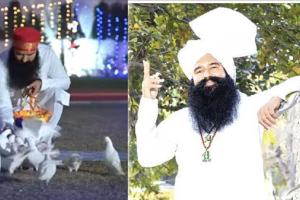 Saint Dr MSG ਦੇ ਨਵੇਂ ਹਰਿਆਣਵੀ ਗਾਣਾ ਨੇ ਪਾ ਰੱਖੀਆਂ ਨੇ ਧੁੰਮਾਂ