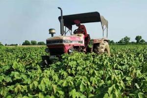 ਵਿਸਥਾਰ ਅਫਸਰਾਂ ਦੀਆਂ ਬਦਲੀਆਂ ਨਾਲ ਨਰਮੇ ਦੀ ਫਸਲ ਹੋਵੇਗੀ ਪ੍ਰਭਾਵਿਤ: ਆਗੂ