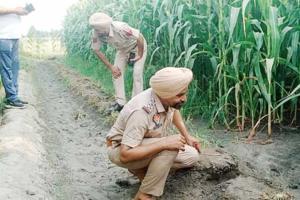 ਚੋਰਾਂ ਨੇ ਬਰਨਾਲਾ ਪੁਲਿਸ ਨੂੰ ਪਾਇਆ ਵਾਹਣੀ