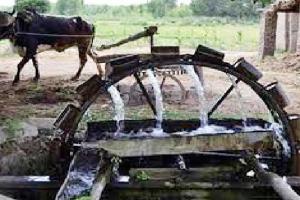 ਦਾਲ ’ਚ ਇੱਕ ਤਿਣਕਾ ਪਾਇਆ ਤੇ ਬਣ ਗਿਆ ਹਿੱਸੇਦਾਰ