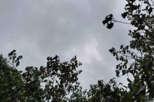 ਪੰਜਾਬ ਪਹੁੰਚਦੇ ਹੀ ਮੌਨਸੂਨ ਦੀ ਰਫ਼ਤਾਰ ਪਈ ਮੱਠੀ, ਜਾਣੋ ਵਜ੍ਹਾ