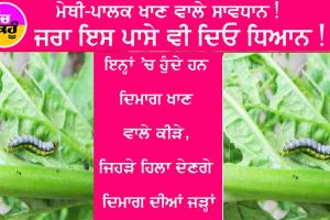 ਮੇਥੀ-ਪਾਲਕ ਖਾਣ ਵਾਲੇ ਸਾਵਧਾਨ! ਜ਼ਰਾ ਇਸ ਪਾਸੇ ਵੀ ਦਿਓ ਧਿਆਨ!