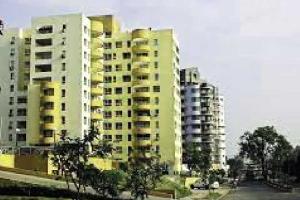 ਵਿਕਾਸ ਬਨਾਮ ਹਰਿਆਲੀ