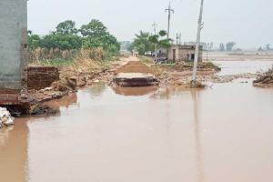 ਹੜ੍ਹਾਂ ਦਾ ਕਹਿਰ : ਪਟਿਆਲਾ ਜ਼ਿਲ੍ਹੇ ਅੰਦਰ ਸੜਕਾਂ, ਪੁਲਾਂ ਆਦਿ ਦਾ 55 ਕਰੋੜ ਤੋਂ ਵੱਧ ਦਾ ਨੁਕਸਾਨ