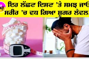 Signs Of Sugar/Diabetes : ਸਰੀਰ ’ਚ ਸ਼ੂਗਰ ਲੈਵਲ ਦੇ ਵਧ ਜਾਣ ’ਤੇ ਸਰੀਰ ਦਿੰਦਾ ਹੈ ਇਹ 10 ਸੰਕੇਤ!