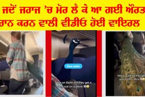 ਤੇ ਜਦੋਂ ਮੋਰ ਲੈ ਕੇ ਜਹਾਜ ’ਚ ਆ ਗਈ ਔਰਤ…, ਵੀਡੀਓ ਵਾਇਰਲ