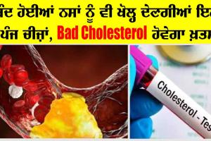 Bad Cholesterol ਨੂੰ ਪਿੰਘਲਾ ਕੇ ਖੂਨ ਤੋਂ ਵੱਖ ਕਰ ਦੇਣਗੀਆਂ ਇਹ ਚੀਜ਼ਾਂ, ਪੜ੍ਹੋ ਤੇ ਸਿਹਤਮੰਦ ਰਹੋ