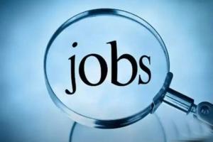 ਨੌਕਰੀ ਦੀ ਭਾਲ ਕਰ ਰਹੇ ਨੌਜਵਾਨਾਂ ਲਈ ਆ ਗਿਆ ਮੌਕਾ