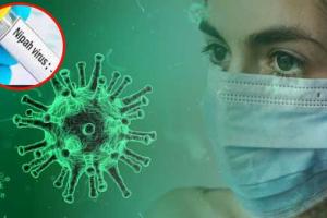 ਕੇਰਲ ’ਚ ਨਿਪਾਹ ਵਾਇਰਸ ਨਾਲ ਦੋ ਮੌਤਾਂ,  4 ਜ਼ਿਲ੍ਹਿਆਂ ’ਚ ਅਲਰਟ. ਮਾਸਕ ਪਹਿਨਣਾ ਲਾਜ਼ਮੀ