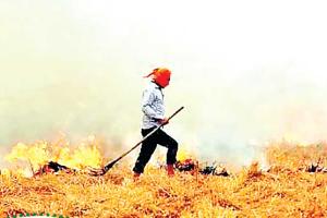 ਮੁਸੀਬਤ ਬਣ ਸਕਦੈ ਝੋਨੇ ਦੀ ਪਰਾਲੀ ਨੂੰ ਅੱਗ ਲਾਉਣ ਦਾ ਰੁਝਾਨ