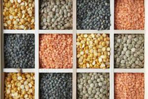 ਭਾਰਤ-ਕੈਨੇਡਾ ਸਬੰਧਾਂ ’ਚ ਬਰਕਰਾਰ ਰਿਹਾ ਤਣਾਅ ਤਾਂ ਦਾਲਾਂ ਦੀਆਂ ਕੀਮਤਾਂ ’ਤੇ ਪਾ ਸਕਦੈ ਅਸਰ!