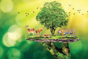 ਸੋਧ ਬਿੱਲ ਬਨਾਮ ਵਾਤਾਵਰਨ