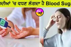 ਸਰਦੀਆਂ ’ਚ ਵਧਣ ਲੱਗਦਾ ਹੈ Blood Sugar ਦਾ ਲੈਵਲ, ਇਸ ਤਰ੍ਹਾਂ ਰੱਖੋ ਧਿਆਨ