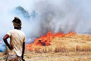 ਕਣਕ-ਝੋਨੇ ਦੀ ਪਰਾਲੀ ਸਾੜਨ ਦਾ ਮੰਦਭਾਗਾ ਰੁਝਾਨ
