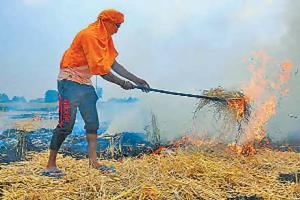 ਪਰਾਲੀ ਸਾੜਨਾ ਮਨੁੱਖੀ ਜੀਵਨ ਲਈ ਨੁਕਸਾਨਦੇਹ ਤੇ ਖ਼ਤਰਨਾਕ ਰੁਝਾਨ