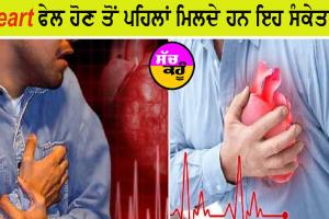Heart ਫੇਲ ਹੋਣ ਤੋਂ ਪਹਿਲਾਂ ਮਿਲਦੇ ਹਨ ਇਹ ਸੰਕੇਤ, ਗਲਤੀ ਨਾਲ ਵੀ ਨਾ ਕਰੋ ਨਜ਼ਰਅੰਦਾਜ਼