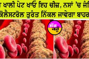 ਸਵੇਰੇ ਖਾਲੀ ਪੇਟ ਖਾਓ ਇਹ ਚੀਜ਼, ਨਸਾਂ ’ਚ ਜੰਮਿਆ ਕੋਲੈਸਟਰੋਲ ਤੁਰੰਤ ਨਿੱਕਲ ਜਾਵੇਗਾ ਬਾਹਰ