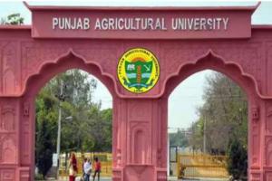 ‘ਨਕਲੀ ਮੁੱਖ ਮੰਤਰੀ’ ਨਾਲ ਬਹਿਸ ’ਚ ਹਿੱਸਾ ਨਹੀਂ ਲਵਾਂਗਾ : ਸੁਖਬੀਰ ਬਾਦਲ