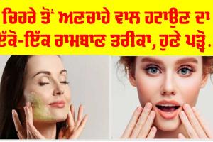 Remove Facial Hair : ਚਿਹਰੇ ਦੇ ਅਣਚਾਹੇ ਵਾਲਾਂ ਤੋਂ ਕਿਵੇਂ ਪਾਈਏ ਛੁਟਕਾਰਾ, ਇੱਕੋ-ਇੱਕ ਤਰਕੀਬ ਆਵੇਗੀ ਕੰਮ